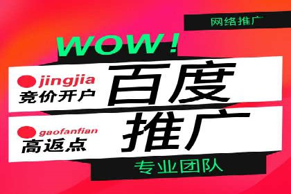 SEM代理实战：案例解析，效果惊人